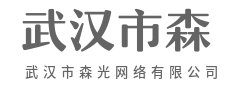 多维报表可视，经营决策有据可依-武汉市森光网络有限公司|多维报表可视，经营决策有据可依-武汉市森光网络有限公司